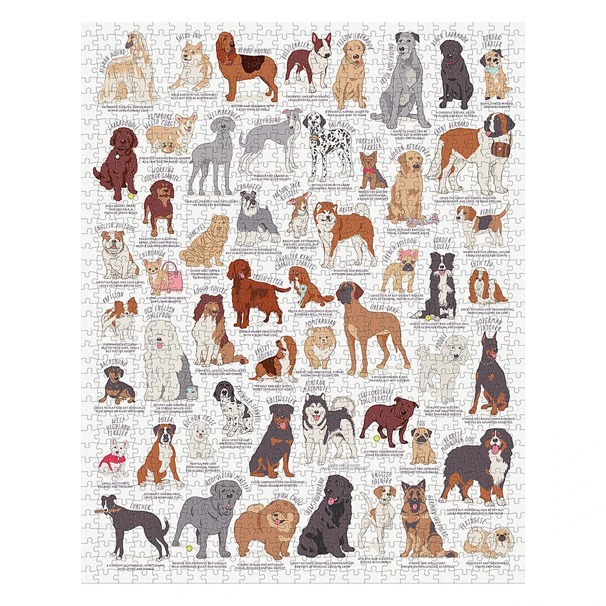 Ridley's Dog Lover’s 1000 Pieces Jigsaw Puzzle 4 Ridley's Dog Lover’s 1000 Pieces Jigsaw Puzzle - Image 2