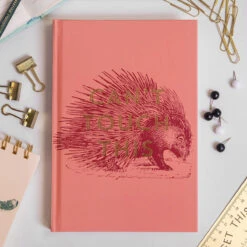 Designworks Ink Vintage Sass ‘Can’t Touch This’ Journal -Children's Peripheral Store dw collective jb86 1103eu vintage sass cant touch this journal lifestyle