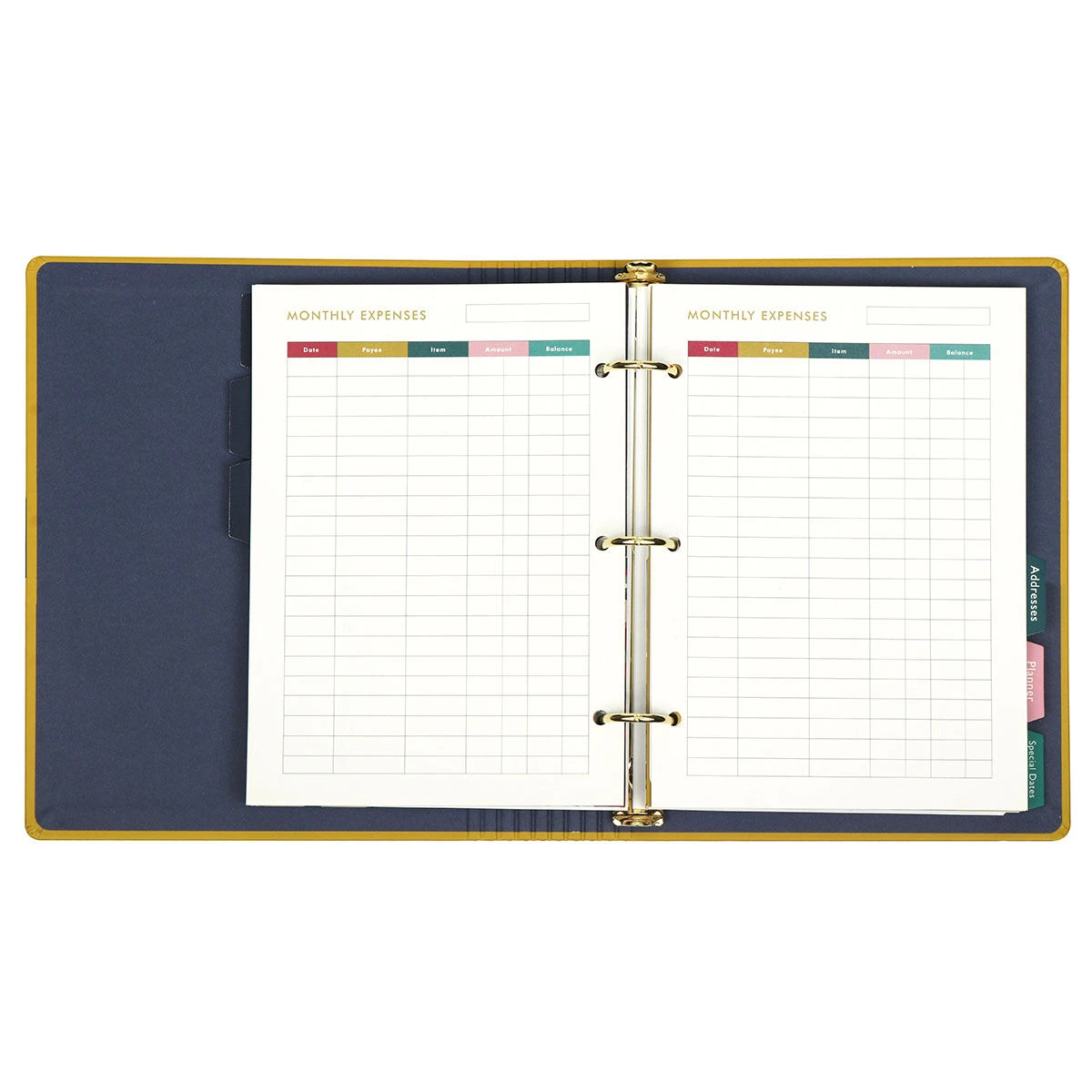Joules Cambridge Floral Bee Home Organiser File 8 Joules Cambridge Floral Bee Home Organiser File - Image 6