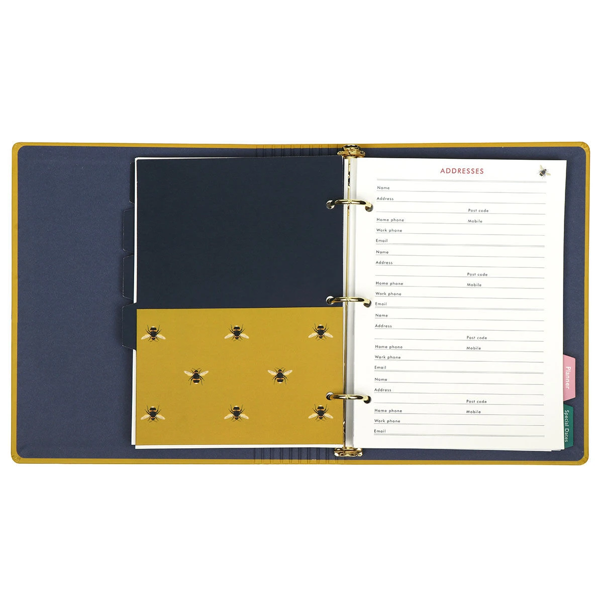 Joules Cambridge Floral Bee Home Organiser File 9 Joules Cambridge Floral Bee Home Organiser File - Image 7