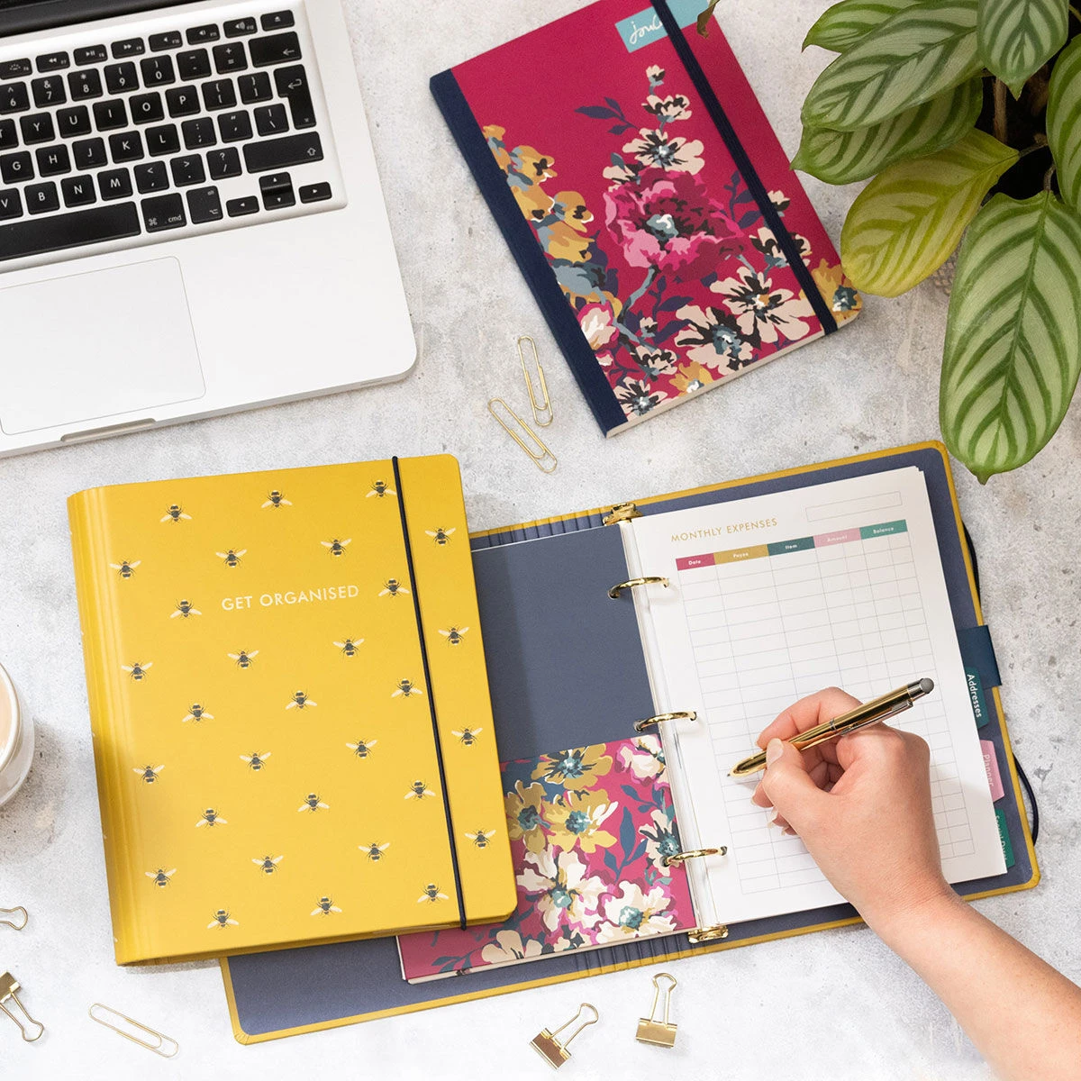 Joules Cambridge Floral Bee Home Organiser File 4 Joules Cambridge Floral Bee Home Organiser File - Image 2