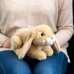 Living Nature Cream Lop Eared Rabbit -Children's Peripheral Store living nature an40 cream lop eard rabbit lifestyle