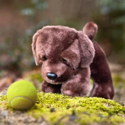 Gosh Designs Black Labrador Dog -Children's Peripheral Store pms 441627 dogs lifestyle 1 1