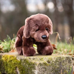 Gosh Designs Black Labrador Dog -Children's Peripheral Store pms 441627 dogs lifestyle 4 1