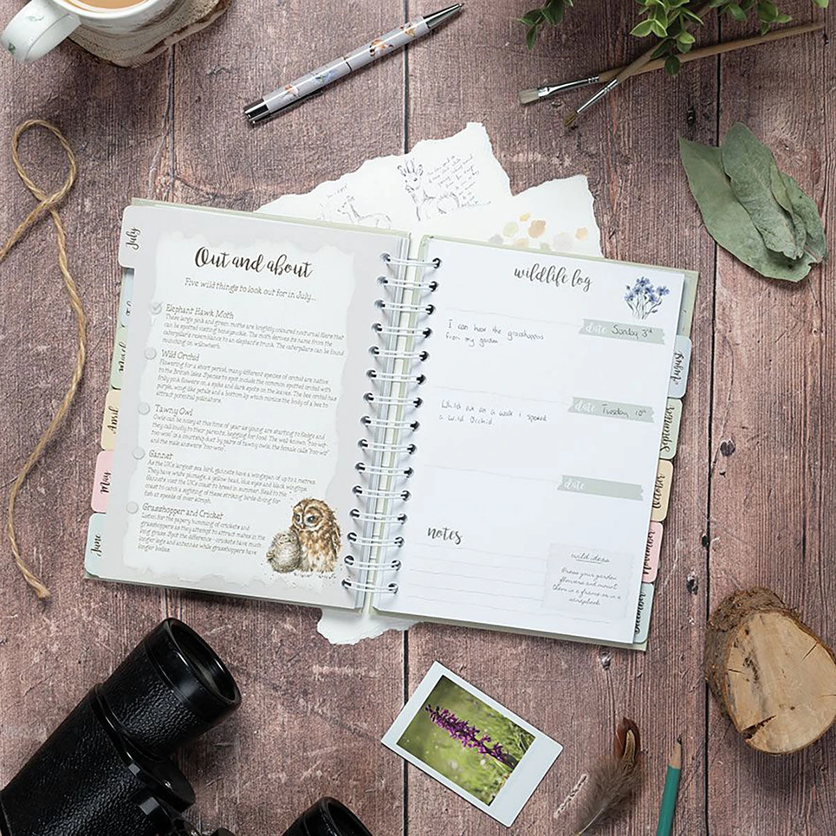 Wrendale ‘Bright Eyed And Bushy Tailed’ Fox Wildlife Journal 5 Wrendale ‘Bright Eyed And Bushy Tailed’ Fox Wildlife Journal - Image 3