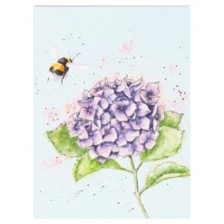 Wrendale The Country Set Set Of Three A6 Notebooks 12 Wrendale The Country Set Set Of Three A6 Notebooks -Children's Peripheral Store wrendale designs n0s001 the country set set of three a6 notebooks 5