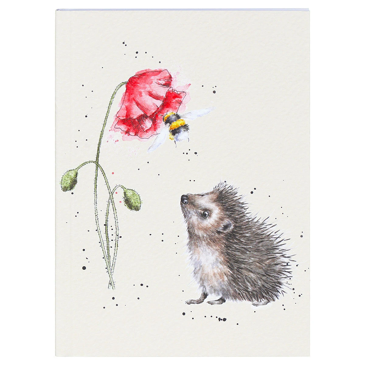 Wrendale The Country Set Set Of Three A6 Notebooks 8 Wrendale The Country Set Set Of Three A6 Notebooks - Image 6