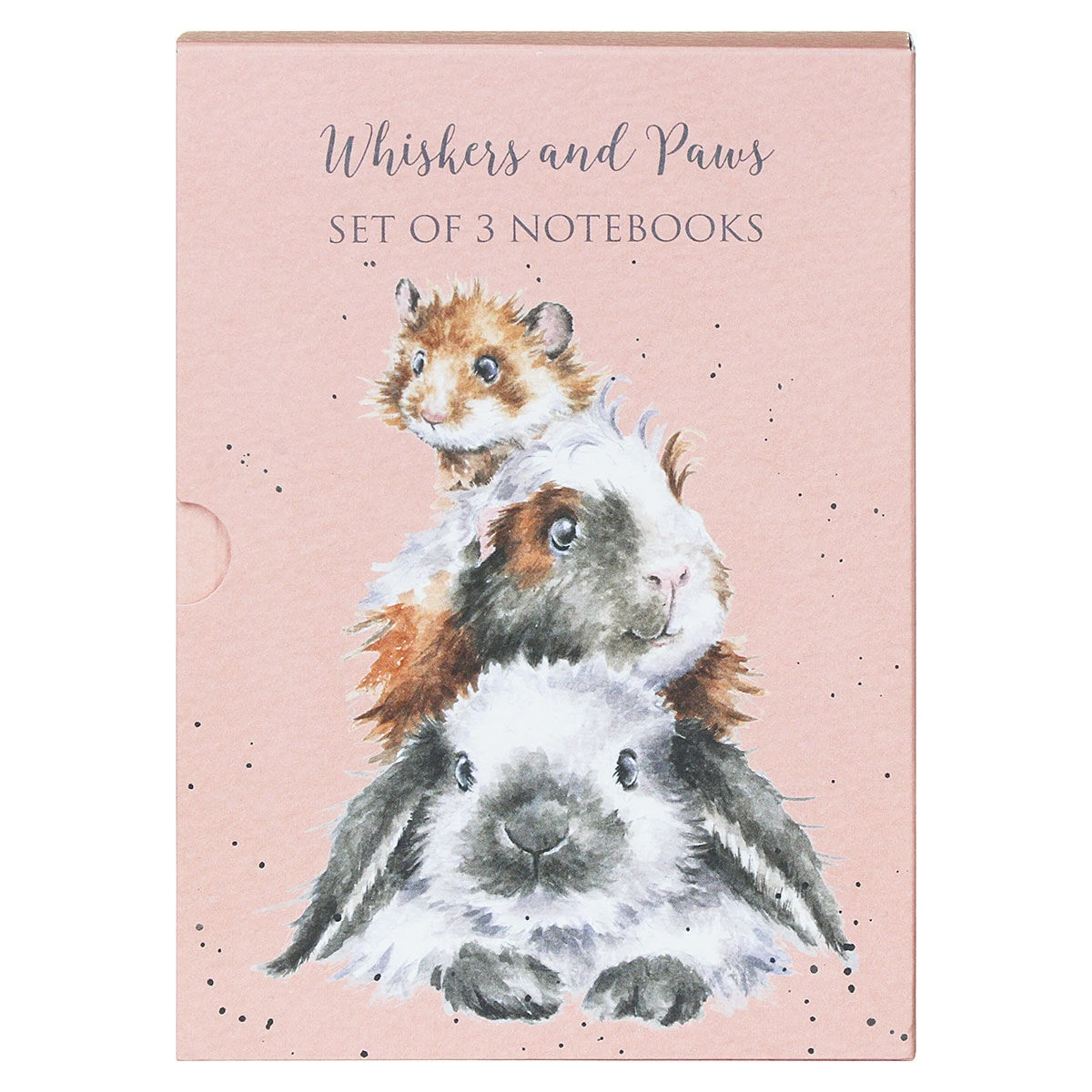 Wrendale ‘Whiskers And Paws’ Set Of Three A6 Notebooks 5 Wrendale ‘Whiskers And Paws’ Set Of Three A6 Notebooks - Image 3