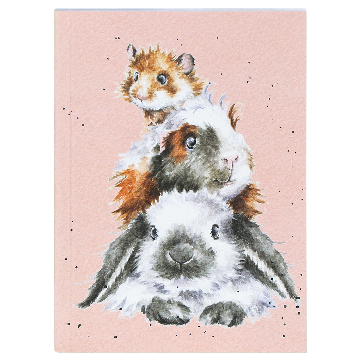 Wrendale ‘Whiskers And Paws’ Set Of Three A6 Notebooks 6 Wrendale ‘Whiskers And Paws’ Set Of Three A6 Notebooks - Image 4