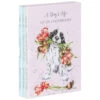 Wrendale ‘A Dog’s Life’ Set Of Three A6 Notebooks -Children's Peripheral Store wrendale designs n0s003 a dogs life set of three a6 notebooks 1