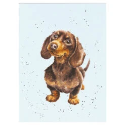 Wrendale ‘A Dog’s Life’ Set Of Three A6 Notebooks -Children's Peripheral Store wrendale designs n0s003 a dogs life set of three a6 notebooks 6