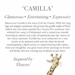 Wrendale Plush Camilla Giraffe -Children's Peripheral Store wrendale designs plush010 plush camilla giraffe info