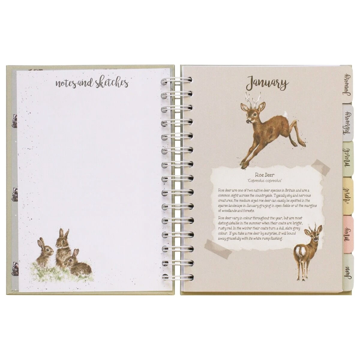 Wrendale ‘Bright Eyed And Bushy Tailed’ Fox Wildlife Journal 4 Wrendale ‘Bright Eyed And Bushy Tailed’ Fox Wildlife Journal - Image 2